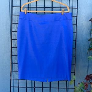 Lane Bryant Skirt